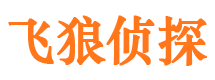 九龙市调查公司